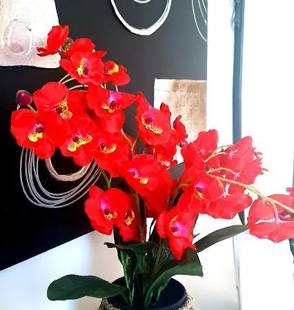 First Line * Μαρμπέλλα