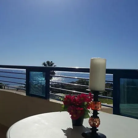 First Line Apartamento *