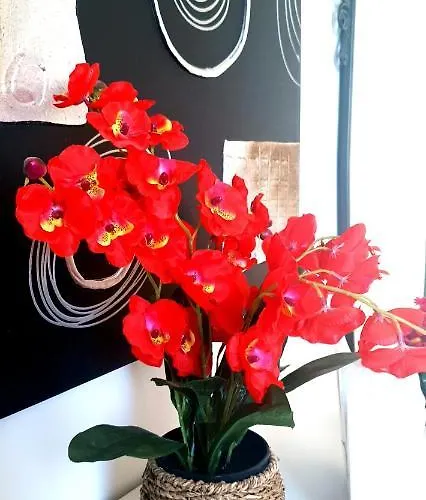 First Line * 마르베야